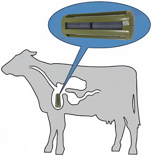 Smooth Surface Cow Protector Magnet