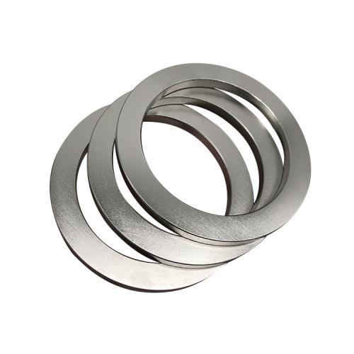 Rare Earth Neodymium Magnet Ring