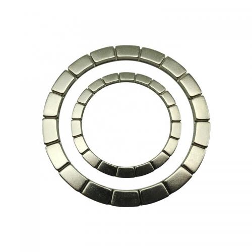 Multipolar ring magnet